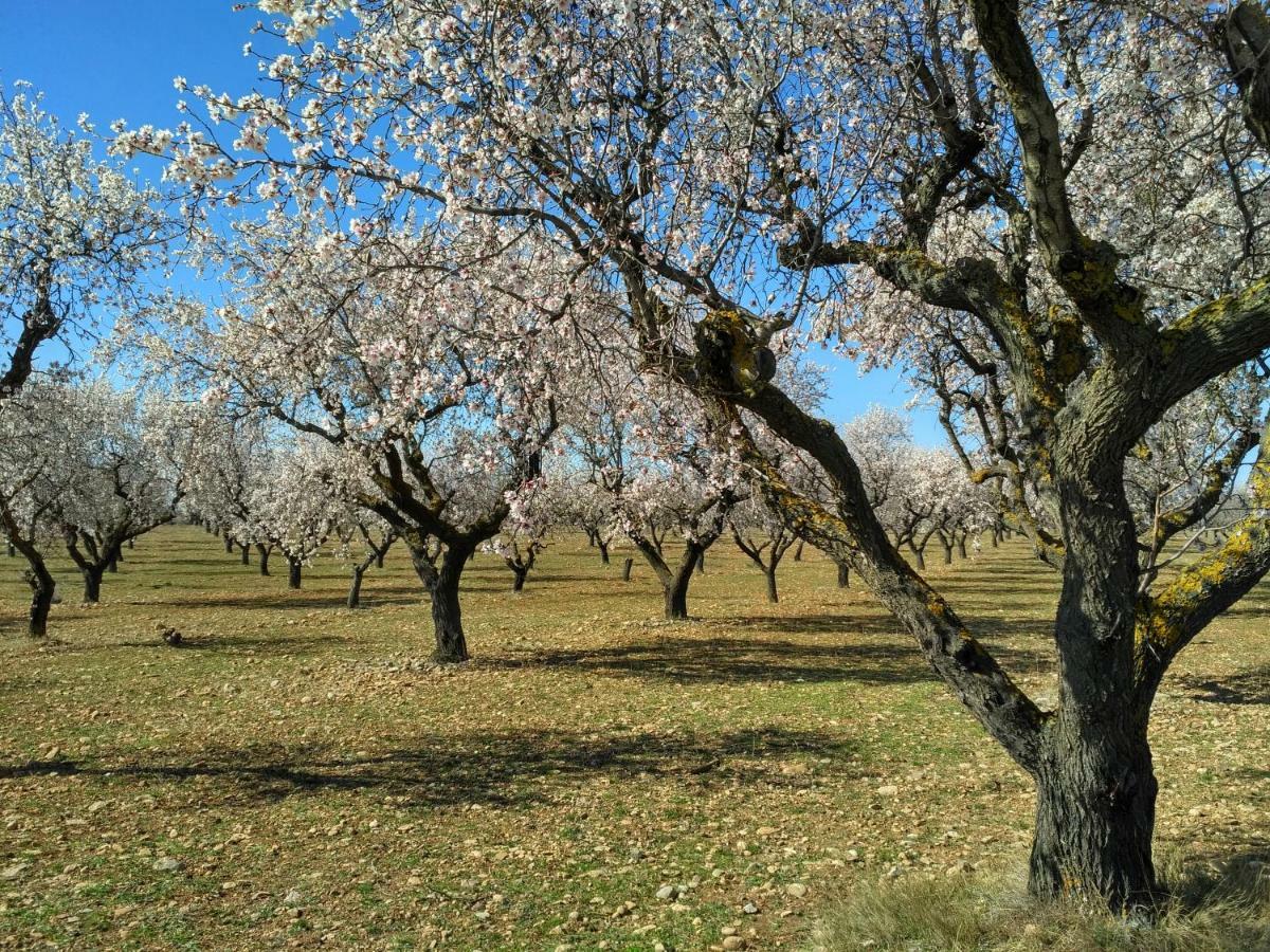 Natura Jordan Murillo de Gallego Luaran gambar